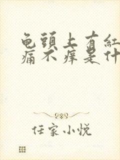 龟头上有红斑不痛不痒是什么原因封面