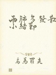 两肺多发散在微小结节