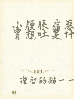 小腹胀痛恶心反胃想吐是什么原因