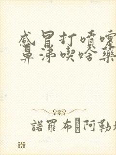 感冒打喷嚏流清鼻涕吃啥药