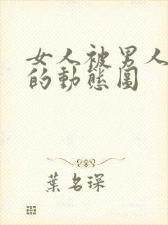 女人被男人插b的动态图