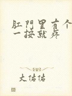 肛门里有个肿块一按就疼