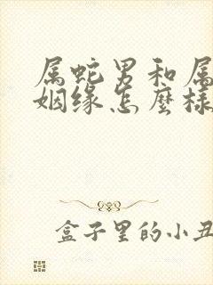 属蛇男和属蛇女姻缘怎么样