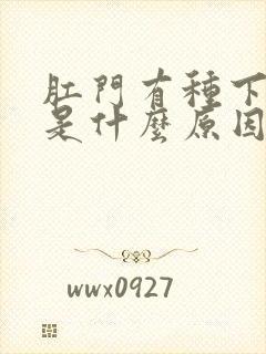 肛门有种下坠感是什么原因?