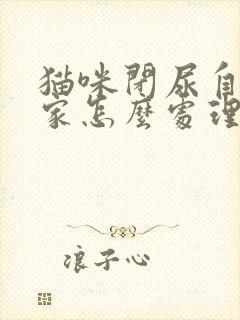 猫咪闭尿自己在家怎么处理