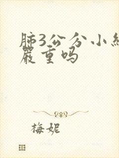 肺3公分小结节严重吗