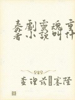 泰剧灵魂重生原著小说叫什么名字