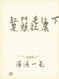 肛门老往下坠老是想拉屎