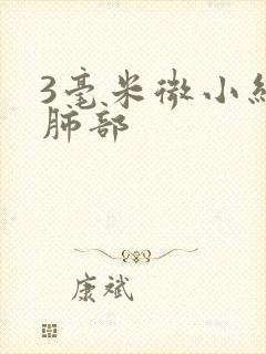 3毫米微小结节肺部