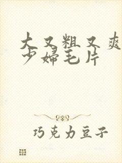 大又粗又爽又黄少妇毛片