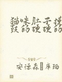 猫咪肚子摸着鼓鼓的硬硬的