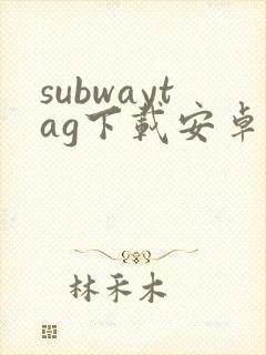 subwaytag下载安卓