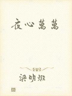 夜心万万封面