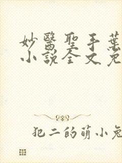 妙医圣手叶皓轩小说全文免费阅读最新章节