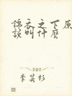 锦衣之下原著小说叫什么