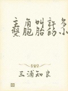 主角叫许多小妈双胞胎的小说