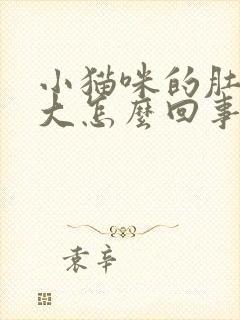 小猫咪的肚子很大怎么回事