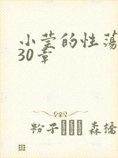 小莹的性荡生活30章封面