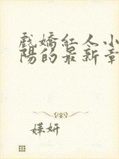 戏娇红人小说陈阳的最新章节更新情封面