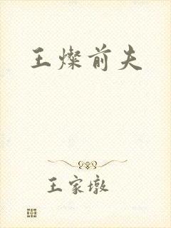 王灿前夫封面