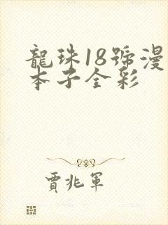 龙珠18号漫画本子全彩封面