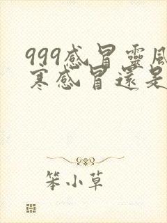 999感冒灵风寒感冒还是风热感冒封面