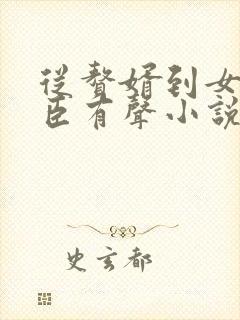 从赘婿到女帝宠臣有声小说完整