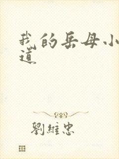 我的岳母小说林道