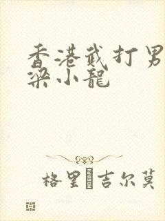 香港武打男演员梁小龙