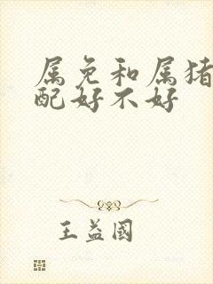 属免和属猪的婚配好不好