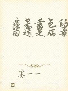 痰是黄色的是细菌还是病毒封面