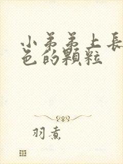 小弟弟上长了白色的颗粒