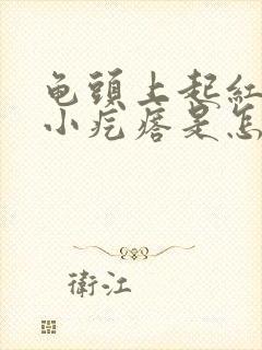 龟头上起红色的小疙瘩是怎么回事封面