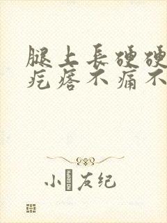 腿上长硬硬的小疙瘩不痛不痒封面