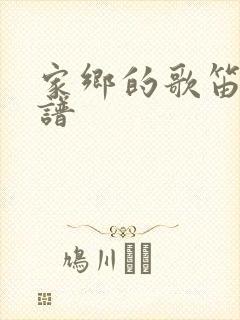 家乡的歌笛子简谱封面