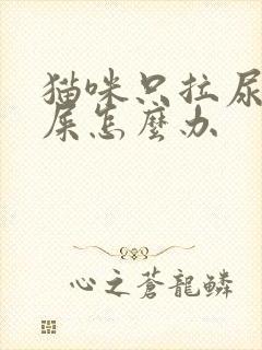 猫咪只拉尿不拉屎怎么办