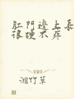 肛门边上长个包很硬不疼封面