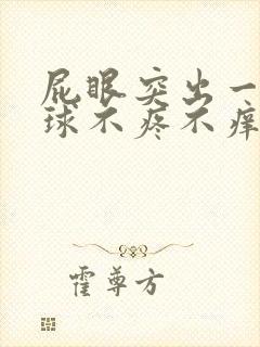 屁眼突出一个肉球不疼不痒封面