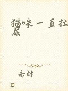 猫咪一直拉不出尿