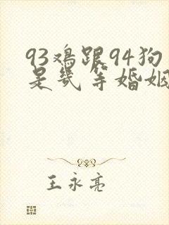 93鸡跟94狗是几等婚姻封面