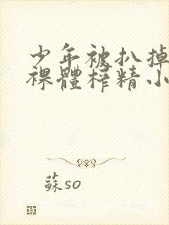 少年被扒掉裤子裸体榨精小说