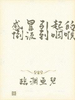 感冒引起的鼻涕倒流到咽喉怎么治