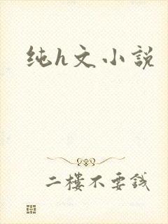 纯h文小说