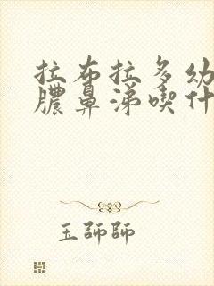 拉布拉多幼犬流脓鼻涕吃什么药