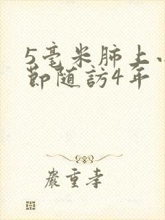 5毫米肺上小结节随访4年