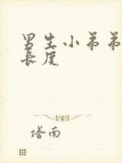 男生小弟弟正常长度