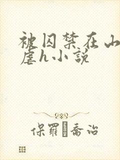 被囚禁在山村淫虐h小说