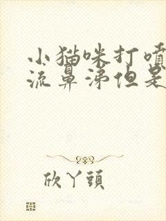 小猫咪打喷嚏没流鼻涕但是精神状态还可以