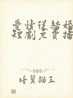 爱情从结婚开始短剧免费播放