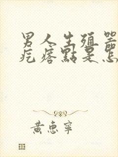 男人生殖器上长疙瘩点是怎么回事